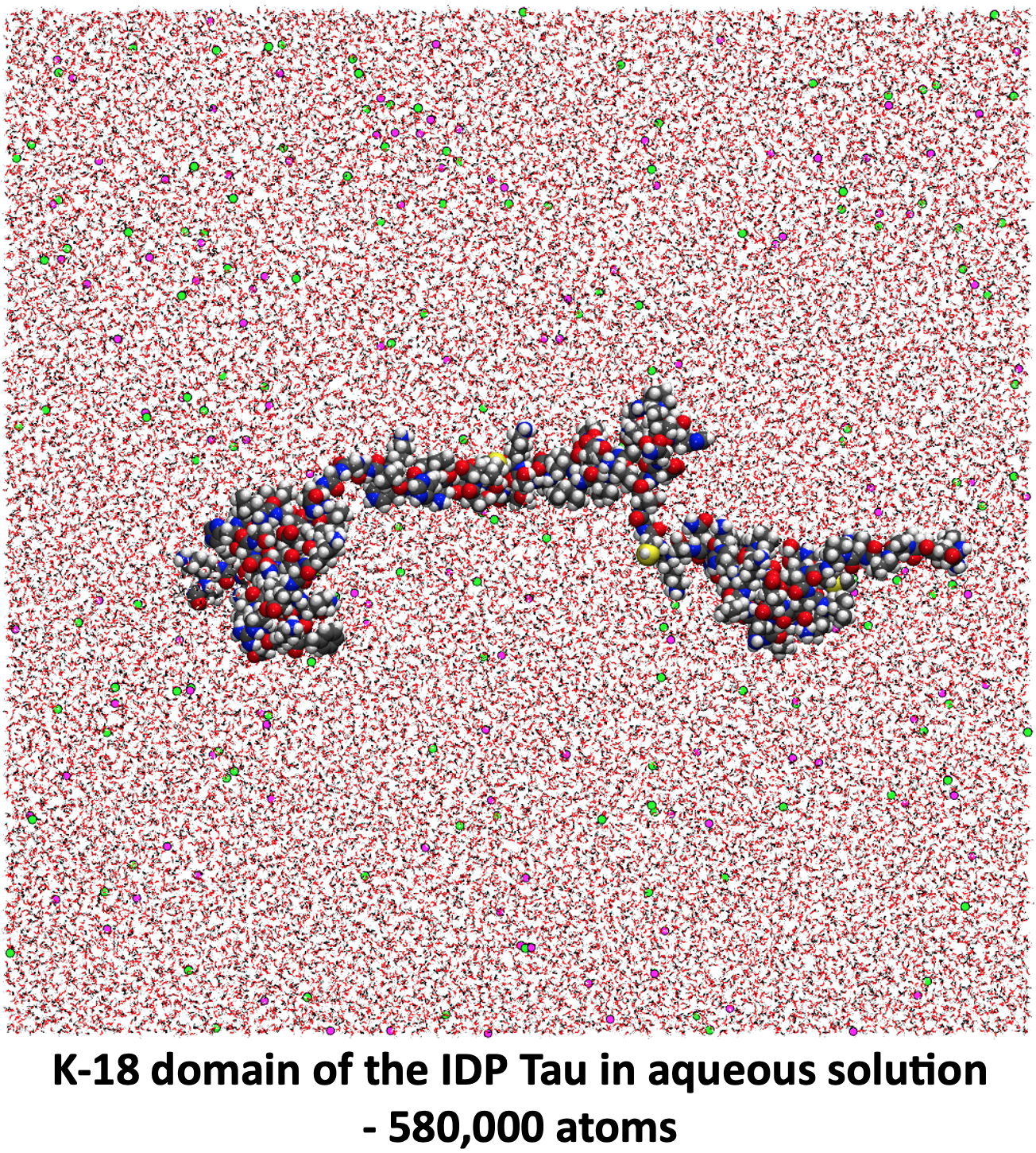 K-18 domain of IDP Tau in aqueous solution